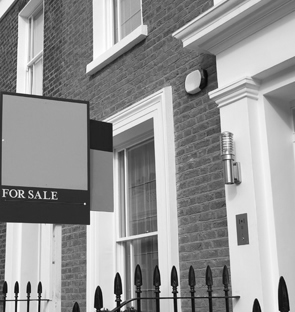 We provide assessments and suggestions that will increase property value and commercial appeal.